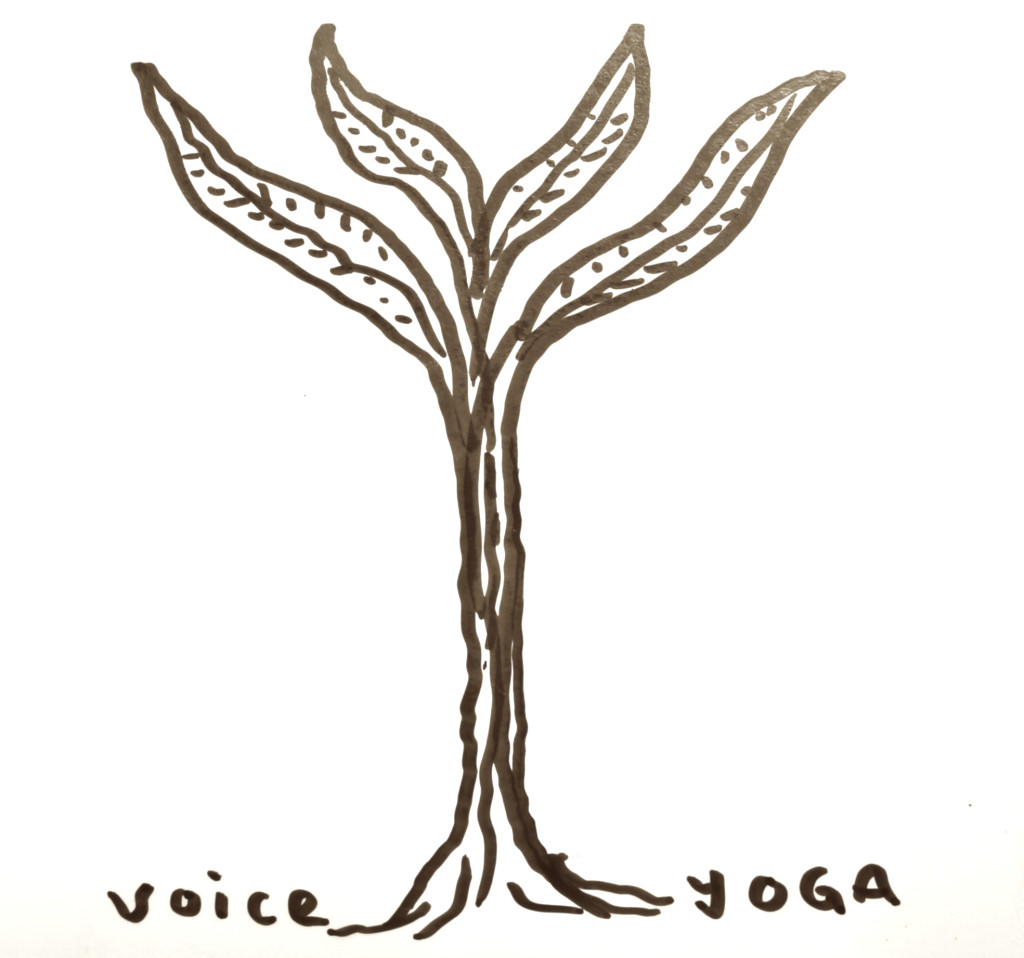 VoiceYoga3