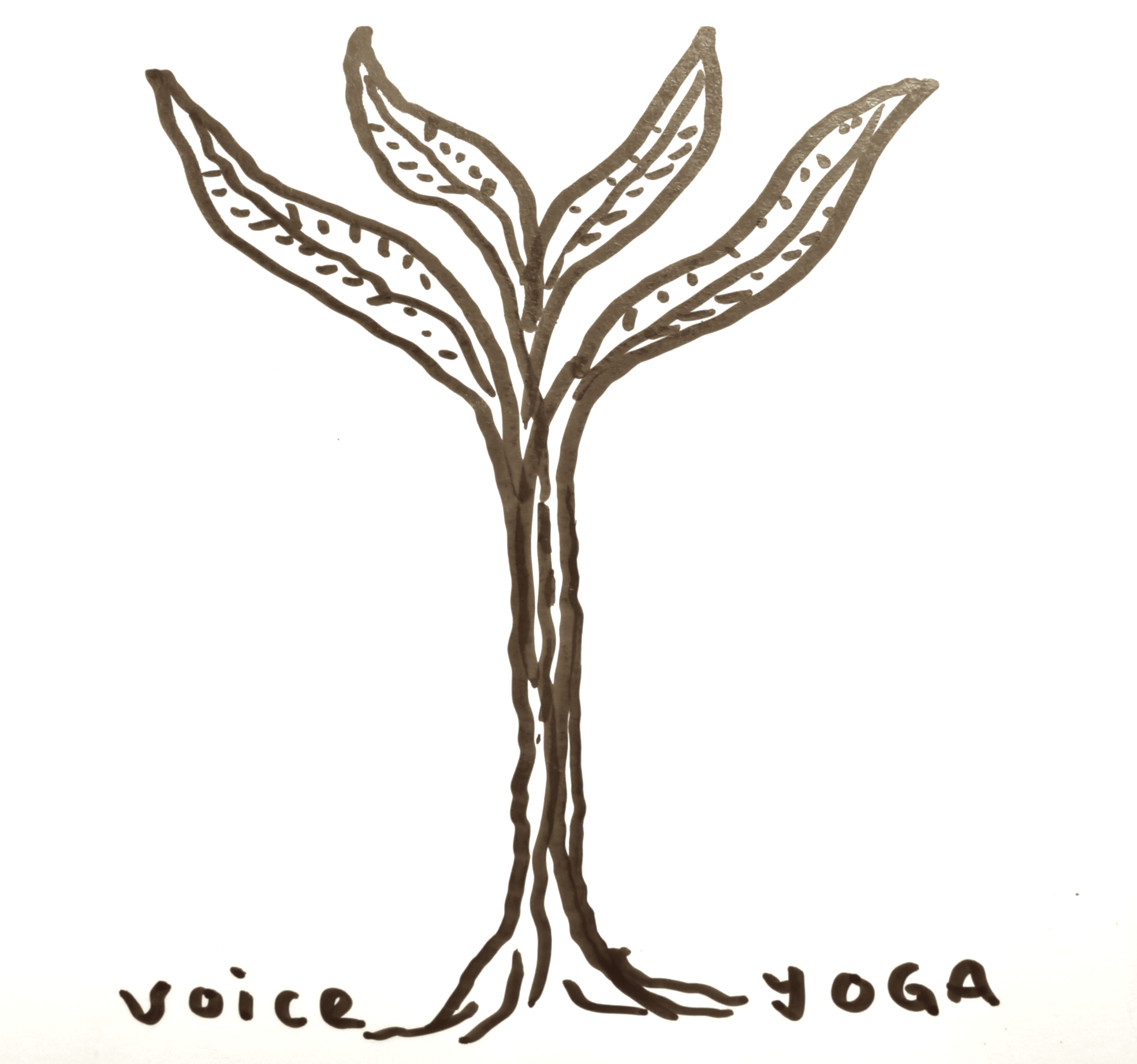 VoiceYoga3